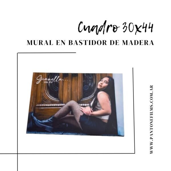 Foto Cuadro 20x30 - Imagen 7