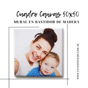 Cuadro Canvas 50x50