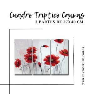 Cuadro Canvas TRIPTICO 27x40 cm